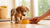 How to Feed Dog Food to Puppy: A Comprehensive Guide for New Pet Owners