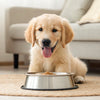 How to Feed Dogs Fresh Food: A Comprehensive Guide for Pet Parents