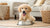 How to Feed Dogs Fresh Food: A Comprehensive Guide for Pet Parents