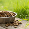 How to Feed Dry Dog Food: A Comprehensive Guide for Pet Owners