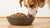 How to Feed Freeze-Dried Dog Food: A Comprehensive Guide for Pet Owners