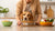 How to Feed My Dog Homemade Food: A Complete Guide for Pet Owners