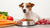 How to Feed My Dog Raw Food: A Comprehensive Guide