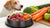 How to Feed Your Dog a Raw Food Diet: A Comprehensive Guide for Pet Owners