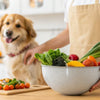 How to Feed Your Dog Homemade Food: A Comprehensive Guide for Pet Owners