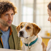 How to Figure Out Dog Food Allergies: A Comprehensive Guide for Concerned Pet Owners