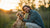 How to Fix Behavior Problems in Dogs: A Comprehensive Guide for Pet Owners-141095895279