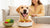 How to Gain Weight on a Dog Fast: A Comprehensive Guide for Pet Owners