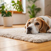 How to Get a Diabetic Dog to Gain Weight: A Comprehensive Guide