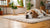 How to Get a Diabetic Dog to Gain Weight: A Comprehensive Guide