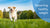 How to Get a Dog Back to a Healthy Weight: A Comprehensive Guide