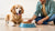 How to Get a Dog to Eat Dog Food: A Comprehensive Guide for Pet Parents-140407242991