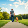 How to Get a Dog to Lose Weight Fast: A Comprehensive Guide for Pet Owners