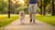 How to Get a Fat Dog to Lose Weight: A Comprehensive Guide for Pet Owners