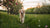 How to Get a Lazy Dog to Lose Weight: Effective Strategies for a Healthier Pup