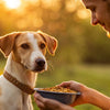 How to Get a Malnutrition Dog to Gain Weight: A Comprehensive Guide