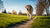 How to Get a Senior Dog to Lose Weight: A Comprehensive Guide
