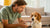 How to Get a Sick Dog to Eat Food: A Comprehensive Guide for Concerned Pet Owners-140410093807