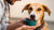 How to Get a Sick Dog to Eat His Food: A Comprehensive Guide