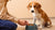 How to Get a Stubborn Dog to Eat Food: A Comprehensive Guide for Pet Owners