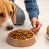 How to Get My Dog to Eat Dog Food: Expert Tips for Pet Parents
