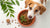 How to Get My Dog to Eat Dog Food: Practical Solutions for Picky Eaters