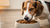 How to Get My Dog to Eat Dry Food Again: Tips for Happy Feeding-140297109743