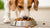 How to Get My Dog to Eat Kibble Again: Tips and Strategies for Picky Eaters