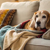 How to Get My Old Dog to Gain Weight: A Comprehensive Guide for Concerned Pet Owners
