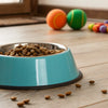 How to Get Rid of Ants in Your Dog Food Bowl: Tips for Pet Owners