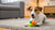 How to Get Your Dog Exercise Indoors: Fun Activities for Every Day