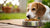 How to Get Your Dog to Eat More Food: Strategies for Fussy Eaters-140130615535