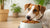 How to Get Your Dog to Eat New Food: A Comprehensive Guide