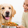 How to Get Your Dog to Gain Weight Healthy: A Comprehensive Guide for Pet Owners