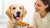 How to Get Your Dog to Gain Weight Healthy: A Comprehensive Guide for Pet Owners