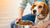 How to Give Wet Food to Dogs: An Essential Guide for Pet Owners