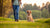 How to Handle Behavioral Issues in Dogs: An Owner's Guide-141217431791