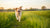How to Have My Dog Lose Weight: A Comprehensive Guide for Pet Owners