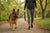How to Help a Dog Lose Weight: German Shepherd Guide