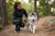 How to Help a Dog Lose Weight: Husky Health Tips