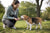 How to Help a Dog Lose Weight: The Practical Beagle Guide