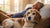 How to Help a Senior Dog Gain Weight: Essential Tips for Pet Owners