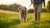 How to Help an Old Dog Lose Weight: A Comprehensive Guide for Pet Owners