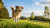 How to Help Dogs Lose Weight Quickly: A Comprehensive Guide for Pet Owners