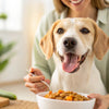 How to Help My Dog Gain More Weight: Effective Strategies for Healthy Weight Gain