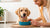 How to Help My Dog Gain Weight After Having Puppies: A Comprehensive Guide