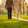 How to Help My Dog Lose Weight Fast: A Comprehensive Guide for Pet Owners