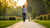 How to Help My Dog Lose Weight Naturally: A Comprehensive Guide for Pet Owners