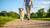 How to Help My Overweight Dog Lose Weight: A Comprehensive Guide