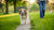 How to Help Senior Dog Lose Weight: A Comprehensive Guide